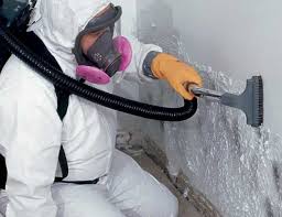 Best Real Estate Mold Inspection  in Cumberland Hill, RI